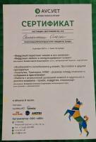 Сертификат сотрудника Самолина О.А.