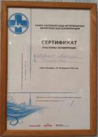 Сертификат сотрудника Повышев А.В.