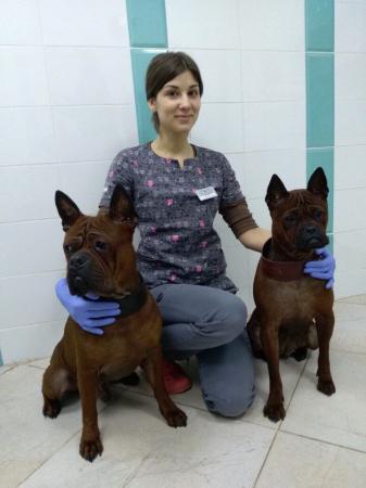 Фотография Dr. Pets 4