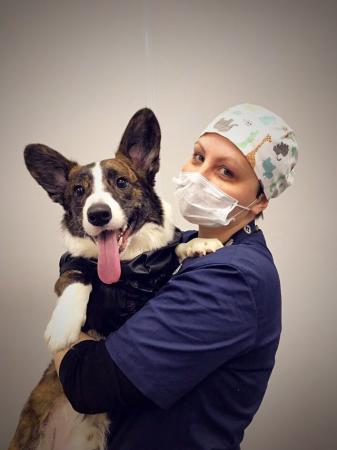 Фотография Dr. Pets 1