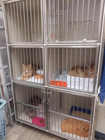 Фотография Dr. Pets 2
