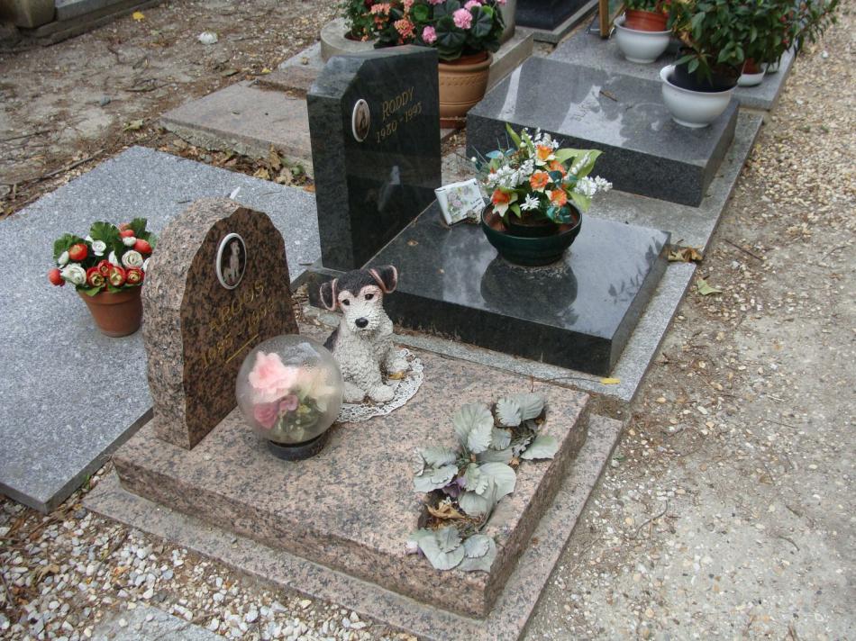 Стоимость кремации домашних животных.