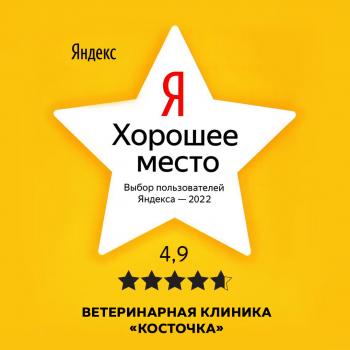 Сертификат клиники Косточка
