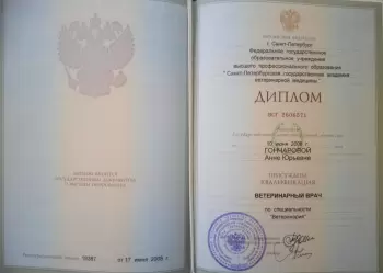 Сертификат отделения Морской Пехоты 26/2