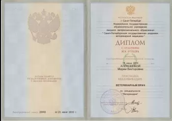 Сертификат отделения Морской Пехоты 26/2