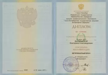 Сертификат отделения Морской Пехоты 26/2