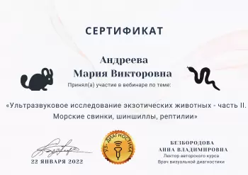 Сертификат сотрудника Андреева М.В.
