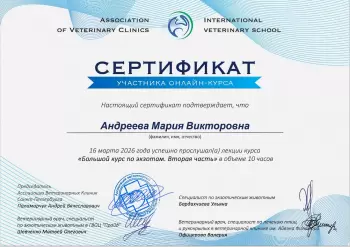 Сертификат сотрудника Андреева М.В.