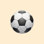 Васильева Н.