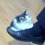 Ксения Дмитриева