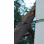 Александр Валерьевич