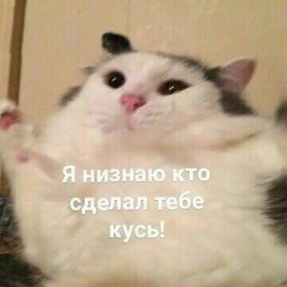 Леся П