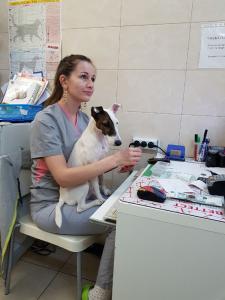 Фотография Чеширский Кот 5