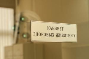 Фотография Данке Шон 5