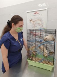 Фотография Косточка 3