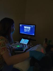 Фотография Косточка 5