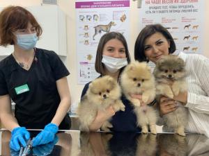 Фотография PetShopRU 5