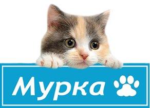 Фотография Мурка 2