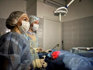 Фотография Косточка 0