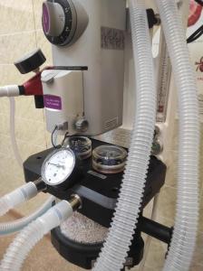 Фотография Друг 1