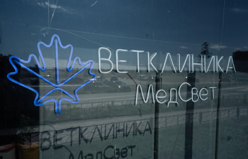 слайд