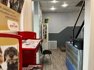 Фотография Бегемот 4