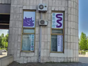 Фотография Бегемот 5