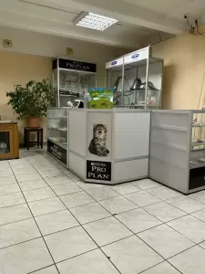 Фотография Олма 3