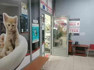 Фотография Эрли 5