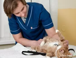 слайд