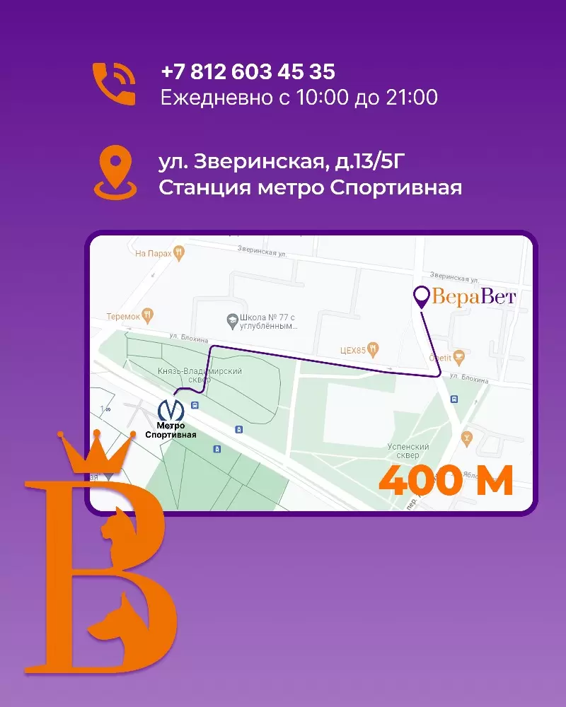 слайд