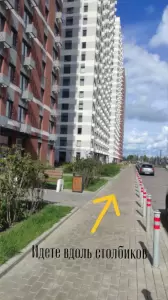 Фотография Друг 3