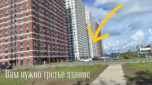 Фотография Друг 4