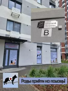 Фотография Друг 2