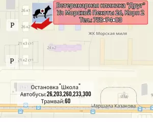 Фотография Друг 0