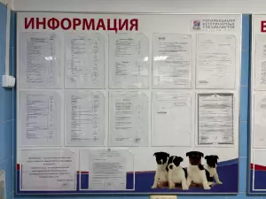 Фотография Ветеринарная Клиника на ул. Жени Егоровой 1/29 2