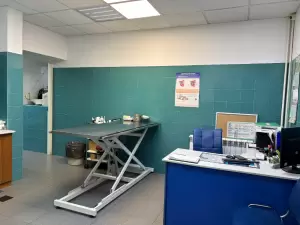 Фотография Ветеринарная Клиника на ул. Жени Егоровой 1/29 3