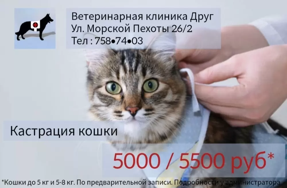 слайд