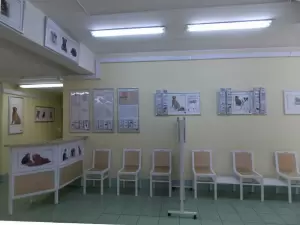 Фотография Круглосуточная ветеринарная клиника Ветсервис + 0
