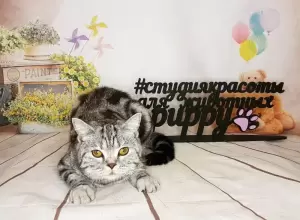 Фотография Поливет 2
