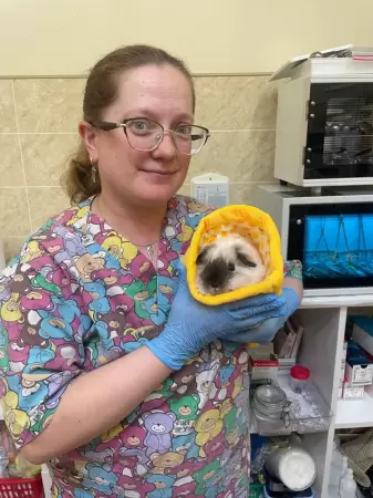 Гончарова Анна Юрьевна